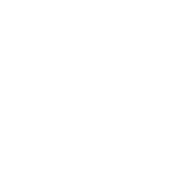 魚