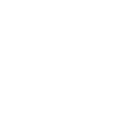 せいろ