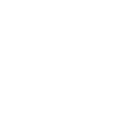 食