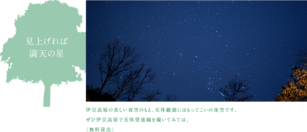 見上げれば満天の星