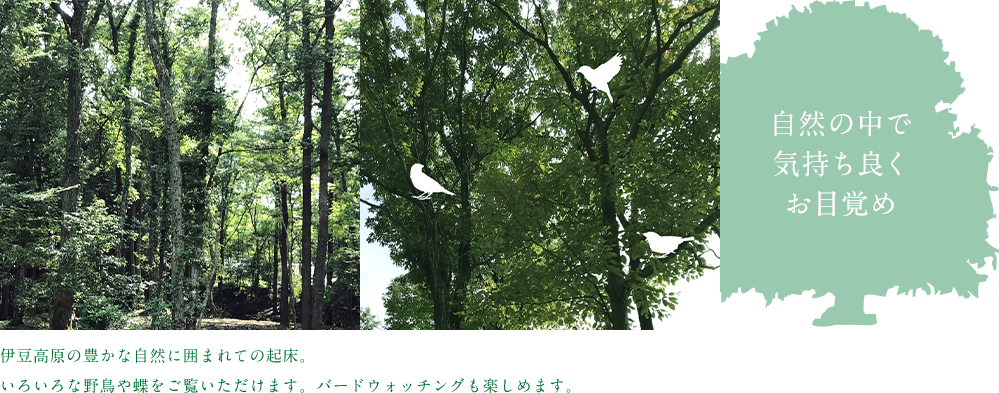 自然の中で気持ち良くお目覚め