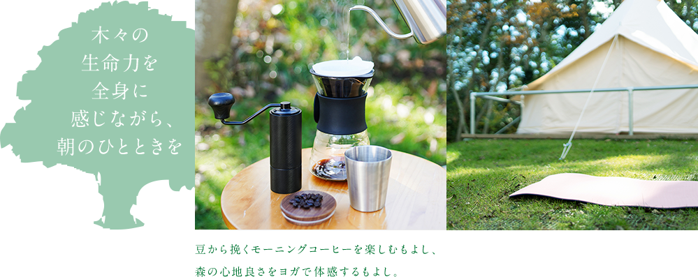 木々の生命力を全身に感じながら、思い思いに朝のひとときを