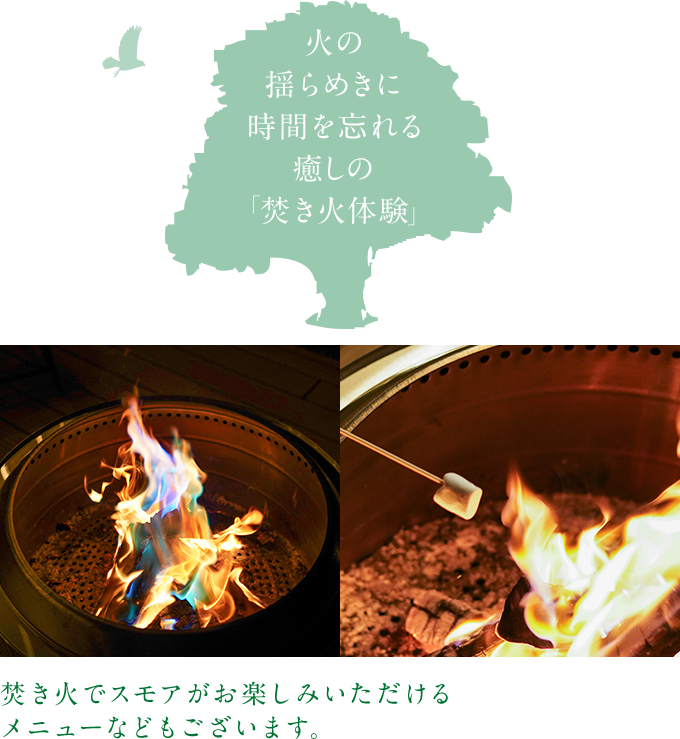 火の揺らめきに時間を忘れる癒しの「焚き火体験」