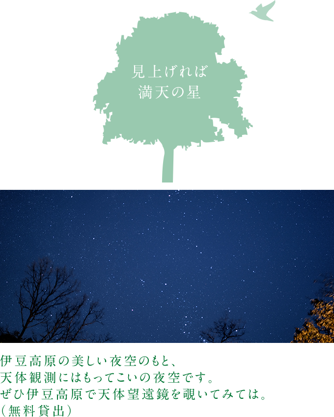見上げれば満天の星