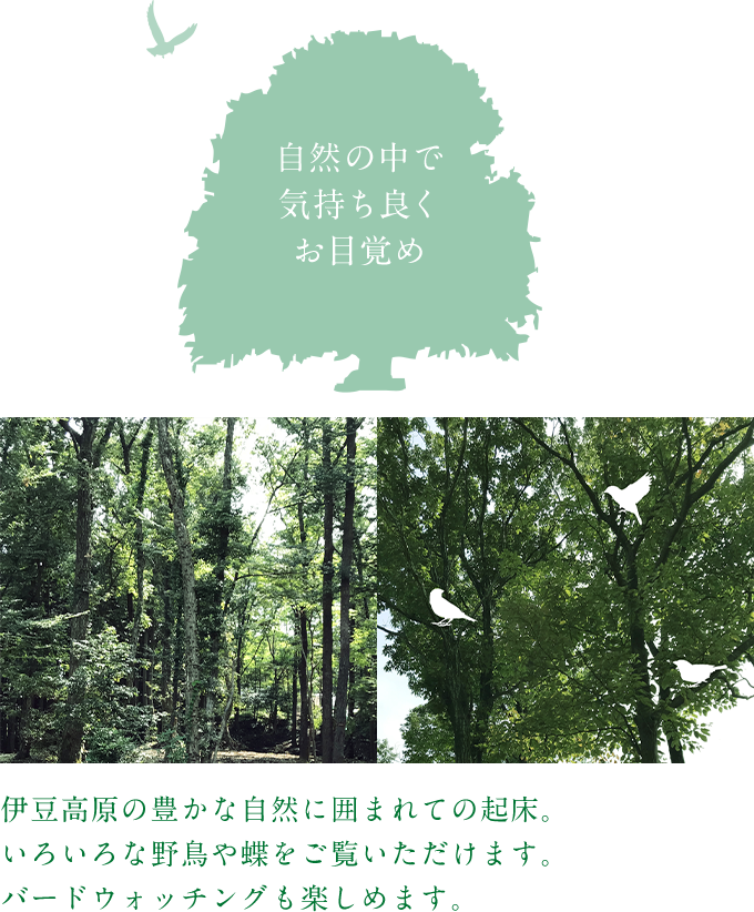 自然の中で気持ち良くお目覚め