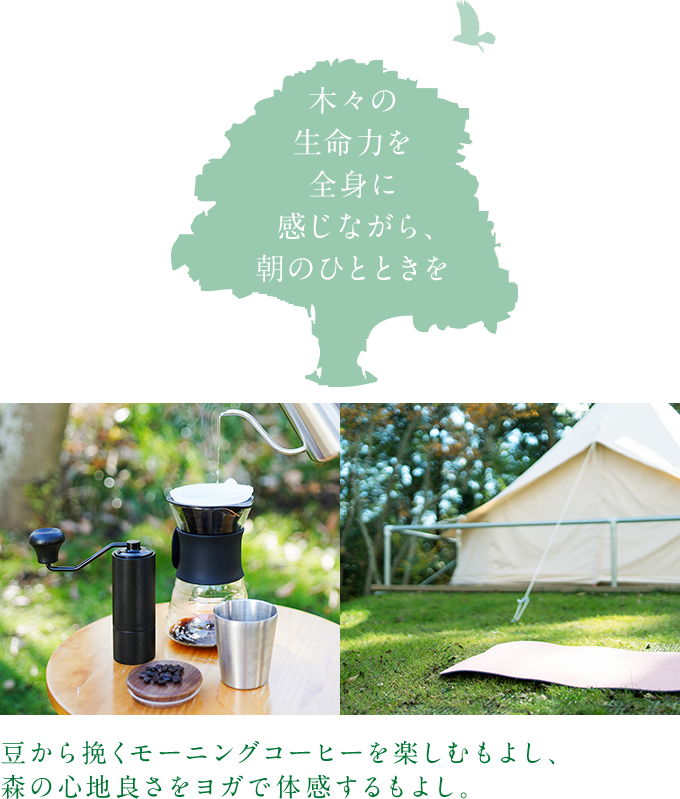 木々の生命力を全身に感じながら、思い思いに朝のひとときを