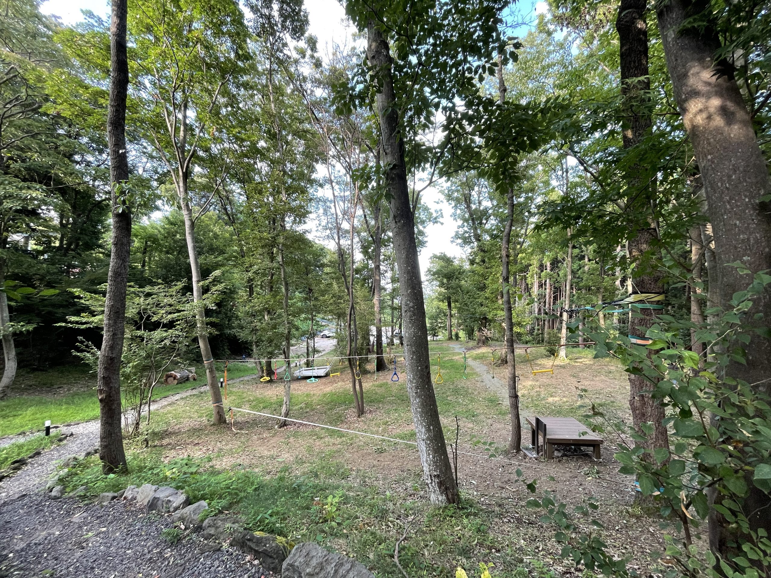 森の広場で野鳥観察